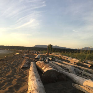 Meet your Posher, Allyson